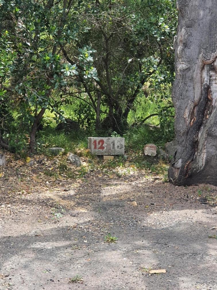 Marina Di Pinarello, Appt Climatise A 400M De La Plage Zonza Ngoại thất bức ảnh