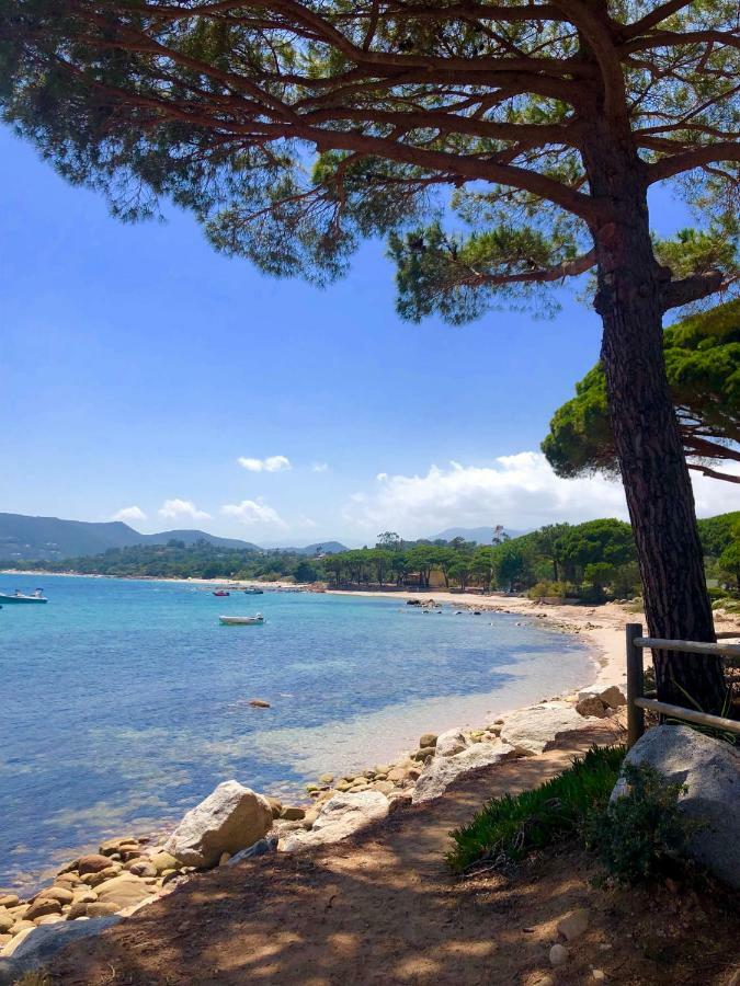 Marina Di Pinarello, Appt Climatise A 400M De La Plage Zonza Ngoại thất bức ảnh